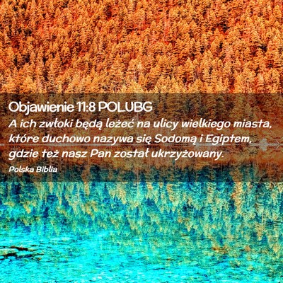 Picture 02 - Objawienie 11:8 POLUBG - A ich zwłoki będą leżeć na ulicy wielkiego - Bible Verse Picture