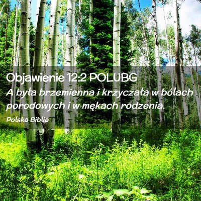 Picture 02 - Objawienie 12:2 POLUBG - A była brzemienna i krzyczała w bólach - Bible Verse Picture