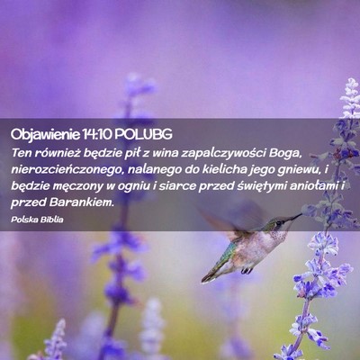 Picture 02 - Objawienie 14:10 POLUBG - Ten również będzie pił z wina zapalczywości - Bible Verse Picture