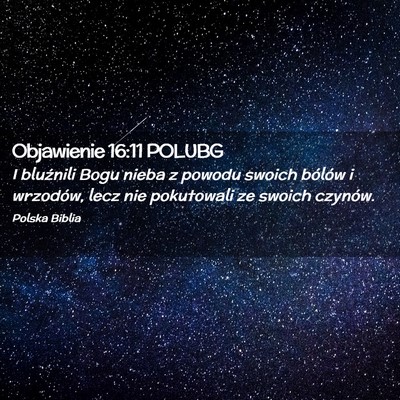 Picture 02 - Objawienie 16:11 POLUBG - I bluźnili Bogu nieba z powodu swoich bólów i - Bible Verse Picture