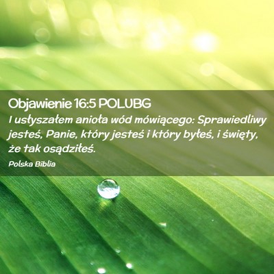Picture 02 - Objawienie 16:5 POLUBG - I usłyszałem anioła wód mówiącego: - Bible Verse Picture