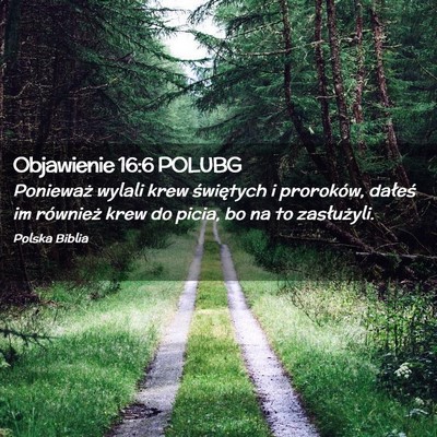 Picture 02 - Objawienie 16:6 POLUBG - Ponieważ wylali krew świętych i proroków, - Bible Verse Picture