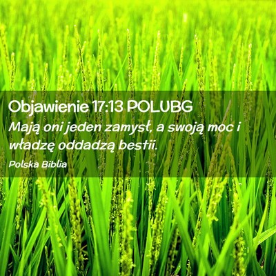 Picture 02 - Objawienie 17:13 POLUBG - Mają oni jeden zamysł, a swoją moc i władzę - Bible Verse Picture