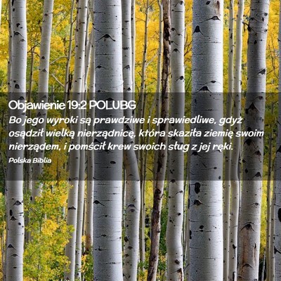 Picture 02 - Objawienie 19:2 POLUBG - Bo jego wyroki są prawdziwe i sprawiedliwe, - Bible Verse Picture