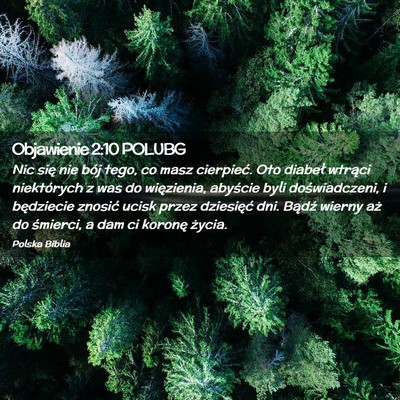 Picture 02 - Objawienie 2:10 POLUBG - Nic się nie bój tego, co masz cierpieć. Oto - Bible Verse Picture