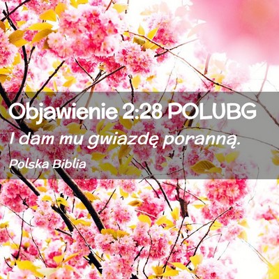 Picture 02 - Objawienie 2:28 POLUBG - I dam mu gwiazdę - Bible Verse Picture
