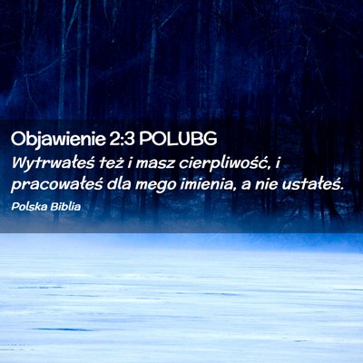 Picture 02 - Objawienie 2:3 POLUBG - Wytrwałeś też i masz cierpliwość, i - Bible Verse Picture