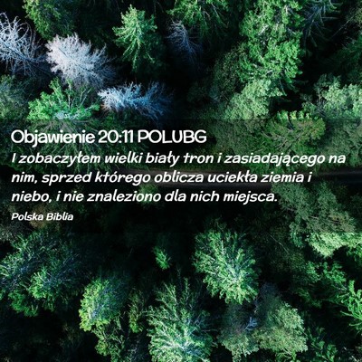 Picture 02 - Objawienie 20:11 POLUBG - I zobaczyłem wielki biały tron i zasiadającego - Bible Verse Picture