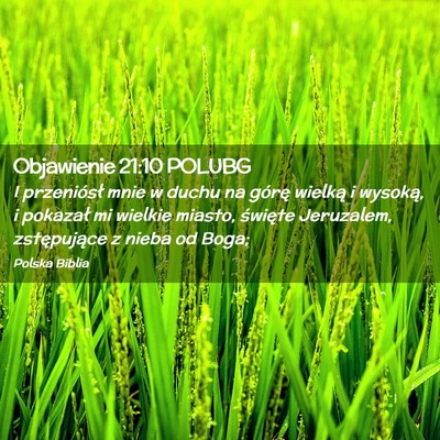 Picture 02 - Objawienie 21:10 POLUBG - I przeniósł mnie w duchu na górę wielką i - Bible Verse Picture