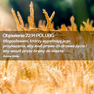 Picture 02 - Objawienie 22:14 POLUBG - Błogosławieni, którzy wypełniają jego - Bible Verse Picture