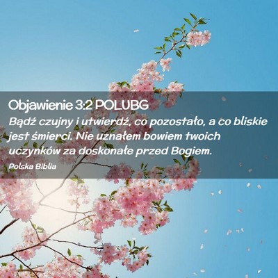 Picture 02 - Objawienie 3:2 POLUBG - Bądź czujny i utwierdź, co pozostało, a co - Bible Verse Picture