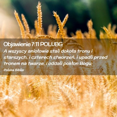 Picture 02 - Objawienie 7:11 POLUBG - A wszyscy aniołowie stali dokoła tronu i - Bible Verse Picture