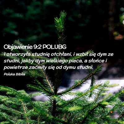 Picture 02 - Objawienie 9:2 POLUBG - I otworzyła studnię otchłani, i wzbił się - Bible Verse Picture