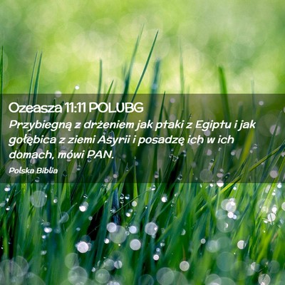 Picture 02 - Ozeasza 11:11 POLUBG - Przybiegną z drżeniem jak ptaki z Egiptu i jak - Bible Verse Picture