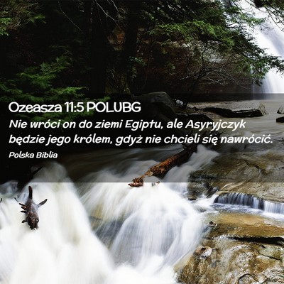 Picture 02 - Ozeasza 11:5 POLUBG - Nie wróci on do ziemi Egiptu, ale Asyryjczyk - Bible Verse Picture