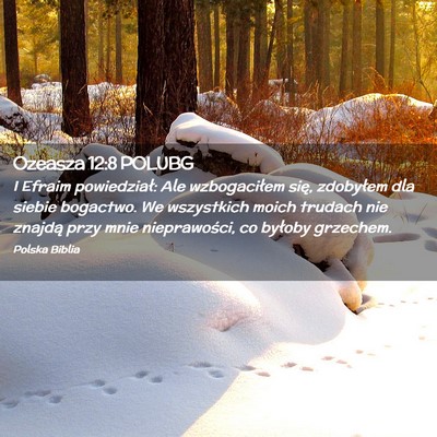 Picture 02 - Ozeasza 12:8 POLUBG - I Efraim powiedział: Ale wzbogaciłem się, - Bible Verse Picture