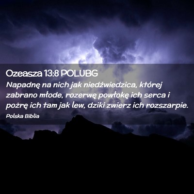 Picture 02 - Ozeasza 13:8 POLUBG - Napadnę na nich jak niedźwiedzica, której - Bible Verse Picture