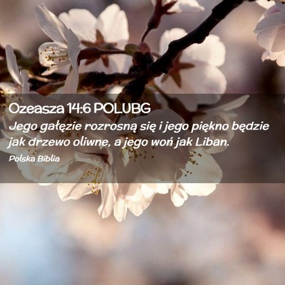 Picture 02 - Ozeasza 14:6 POLUBG - Jego gałęzie rozrosną się i jego piękno - Bible Verse Picture