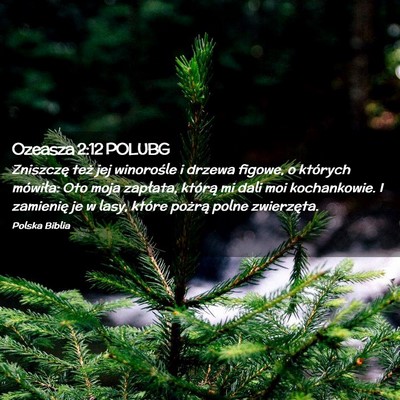 Picture 02 - Ozeasza 2:12 POLUBG - Zniszczę też jej winorośle i drzewa figowe, o - Bible Verse Picture