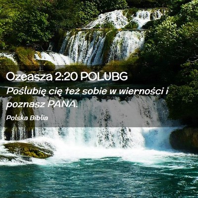 Picture 02 - Ozeasza 2:20 POLUBG - Poślubię cię też sobie w wierności i poznasz - Bible Verse Picture
