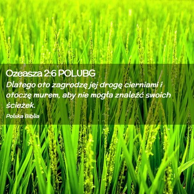 Picture 02 - Ozeasza 2:6 POLUBG - Dlatego oto zagrodzę jej drogę cierniami i - Bible Verse Picture