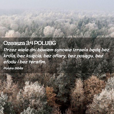 Picture 02 - Ozeasza 3:4 POLUBG - Przez wiele dni bowiem synowie Izraela będą bez - Bible Verse Picture