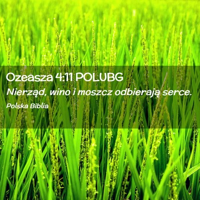 Picture 02 - Ozeasza 4:11 POLUBG - Nierząd, wino i moszcz odbierają - Bible Verse Picture