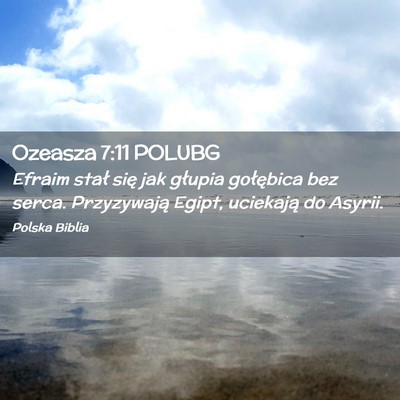 Picture 02 - Ozeasza 7:11 POLUBG - Efraim stał się jak głupia gołębica bez - Bible Verse Picture