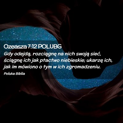 Picture 02 - Ozeasza 7:12 POLUBG - Gdy odejdą, rozciągnę na nich swoją sieć, - Bible Verse Picture