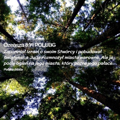 Picture 02 - Ozeasza 8:14 POLUBG - Zapomniał Izrael o swoim Stwórcy i pobudował - Bible Verse Picture