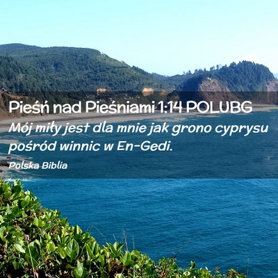 Picture 02 - Pieśń nad Pieśniami 1:14 POLUBG - Mój miły jest dla mnie jak grono cyprysu - Bible Verse Picture