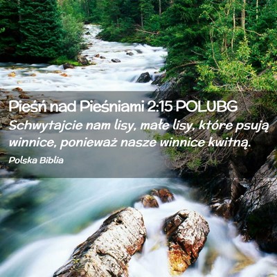 Picture 02 - Pieśń nad Pieśniami 2:15 POLUBG - Schwytajcie nam lisy, małe lisy, które psują - Bible Verse Picture