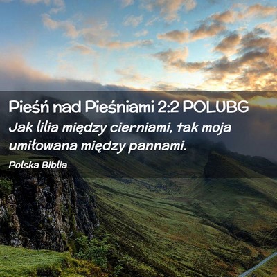 Picture 02 - Pieśń nad Pieśniami 2:2 POLUBG - Jak lilia między cierniami, tak moja umiłowana - Bible Verse Picture