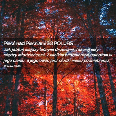 Picture 02 - Pieśń nad Pieśniami 2:3 POLUBG - Jak jabłoń między leśnymi drzewami, tak mój - Bible Verse Picture