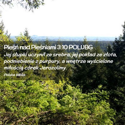 Picture 02 - Pieśń nad Pieśniami 3:10 POLUBG - Jej słupki uczynił ze srebra, jej pokład ze - Bible Verse Picture