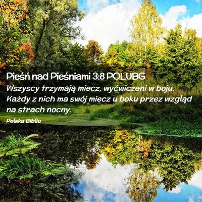 Picture 02 - Pieśń nad Pieśniami 3:8 POLUBG - Wszyscy trzymają miecz, wyćwiczeni w boju. - Bible Verse Picture