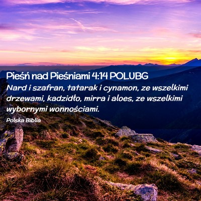 Picture 02 - Pieśń nad Pieśniami 4:14 POLUBG - Nard i szafran, tatarak i cynamon, ze wszelkimi - Bible Verse Picture