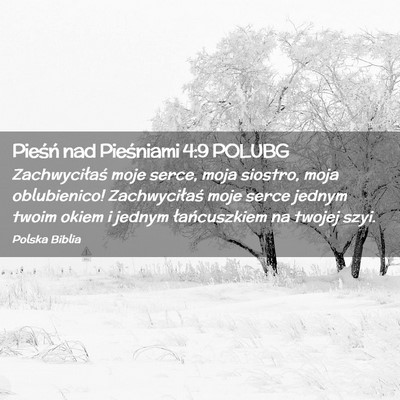 Picture 02 - Pieśń nad Pieśniami 4:9 POLUBG - Zachwyciłaś moje serce, moja siostro, moja - Bible Verse Picture