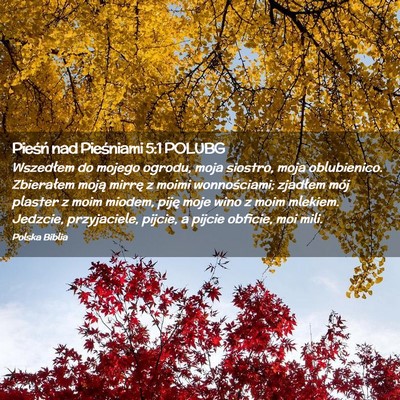 Picture 02 - Pieśń nad Pieśniami 5:1 POLUBG - Wszedłem do mojego ogrodu, moja siostro, moja - Bible Verse Picture