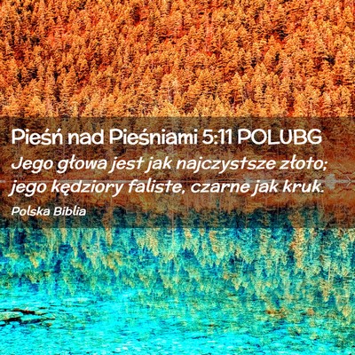 Picture 02 - Pieśń nad Pieśniami 5:11 POLUBG - Jego głowa jest jak najczystsze złoto; jego - Bible Verse Picture