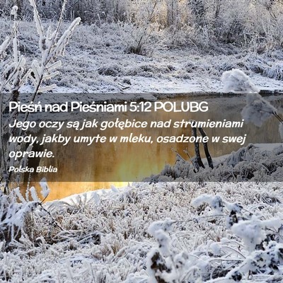 Picture 02 - Pieśń nad Pieśniami 5:12 POLUBG - Jego oczy są jak gołębice nad strumieniami - Bible Verse Picture