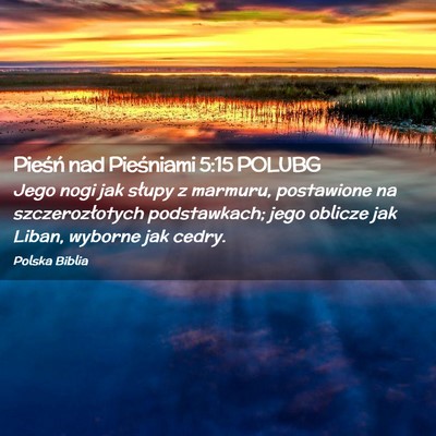 Picture 02 - Pieśń nad Pieśniami 5:15 POLUBG - Jego nogi jak słupy z marmuru, postawione na - Bible Verse Picture