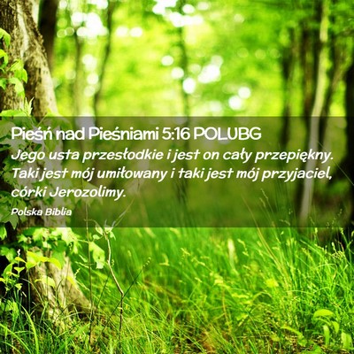 Picture 02 - Pieśń nad Pieśniami 5:16 POLUBG - Jego usta przesłodkie i jest on cały - Bible Verse Picture