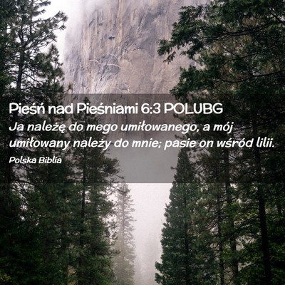 Picture 02 - Pieśń nad Pieśniami 6:3 POLUBG - Ja należę do mego umiłowanego, a mój - Bible Verse Picture