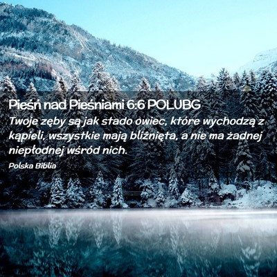 Picture 02 - Pieśń nad Pieśniami 6:6 POLUBG - Twoje zęby są jak stado owiec, które wychodzą - Bible Verse Picture