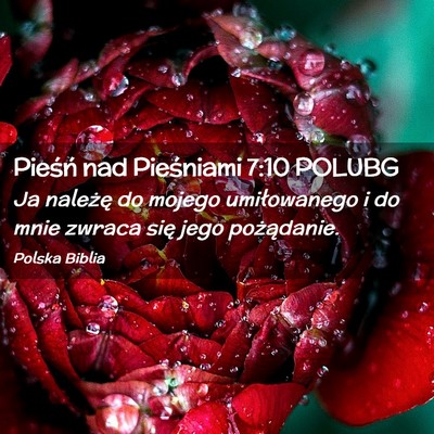 Picture 02 - Pieśń nad Pieśniami 7:10 POLUBG - Ja należę do mojego umiłowanego i do mnie - Bible Verse Picture