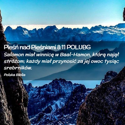 Picture 02 - Pieśń nad Pieśniami 8:11 POLUBG - Salomon miał winnicę w Baal-Hamon, którą - Bible Verse Picture