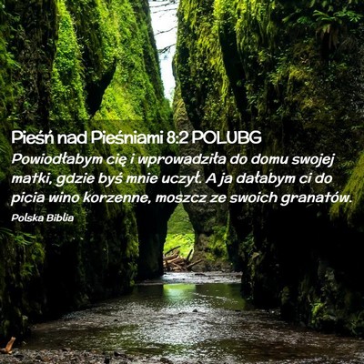 Picture 02 - Pieśń nad Pieśniami 8:2 POLUBG - Powiodłabym cię i wprowadziła do domu swojej - Bible Verse Picture
