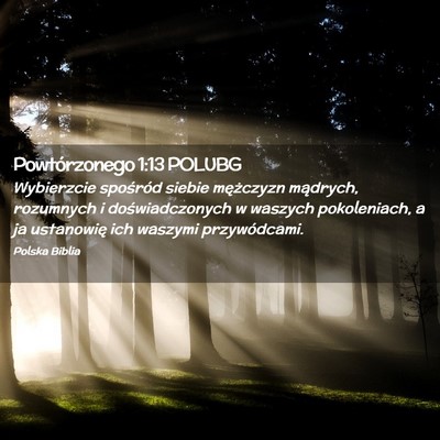Picture 02 - Powtórzonego 1:13 POLUBG - Wybierzcie spośród siebie mężczyzn mądrych, - Bible Verse Picture