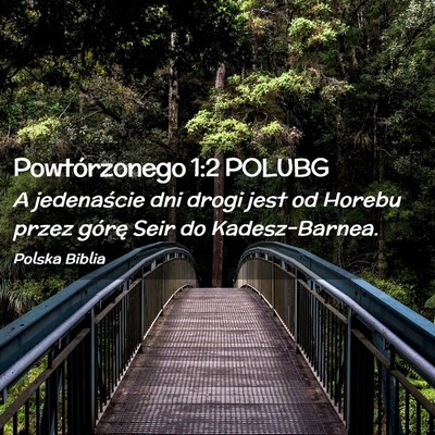 Picture 02 - Powtórzonego 1:2 POLUBG - A jedenaście dni drogi jest od Horebu przez - Bible Verse Picture